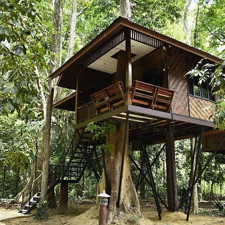 منتجع كاو سوك نيتشر Khao Sok National Park المظهر الخارجي الصورة