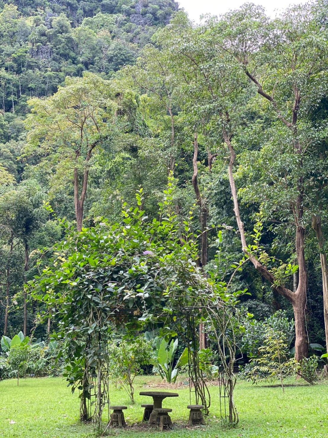 منتجع كاو سوك نيتشر Khao Sok National Park المظهر الخارجي الصورة