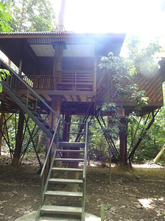 منتجع كاو سوك نيتشر Khao Sok National Park المظهر الخارجي الصورة