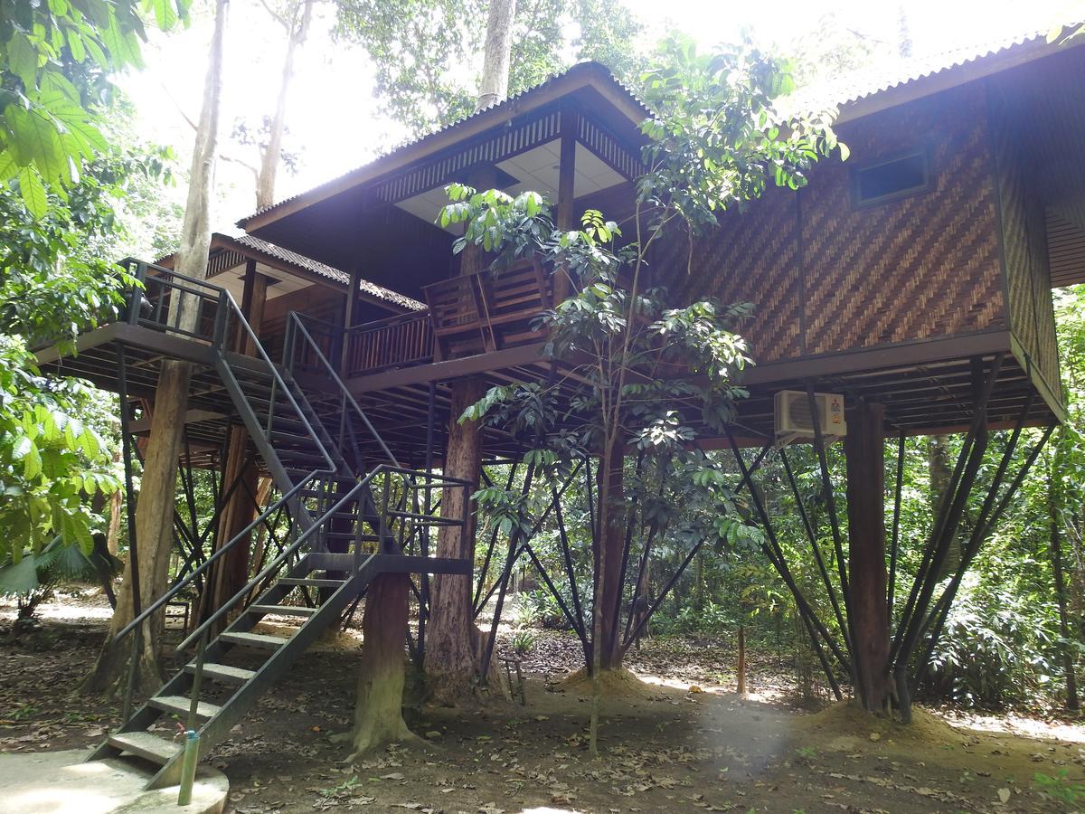 منتجع كاو سوك نيتشر Khao Sok National Park المظهر الخارجي الصورة