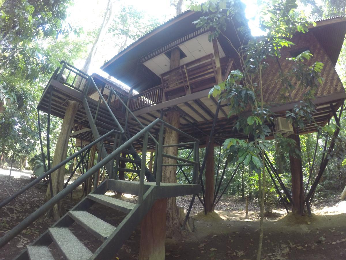 منتجع كاو سوك نيتشر Khao Sok National Park المظهر الخارجي الصورة