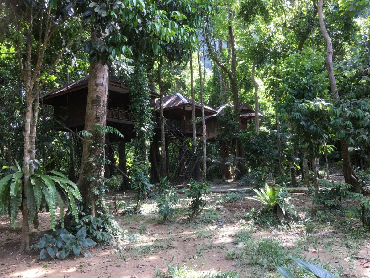 منتجع كاو سوك نيتشر Khao Sok National Park المظهر الخارجي الصورة