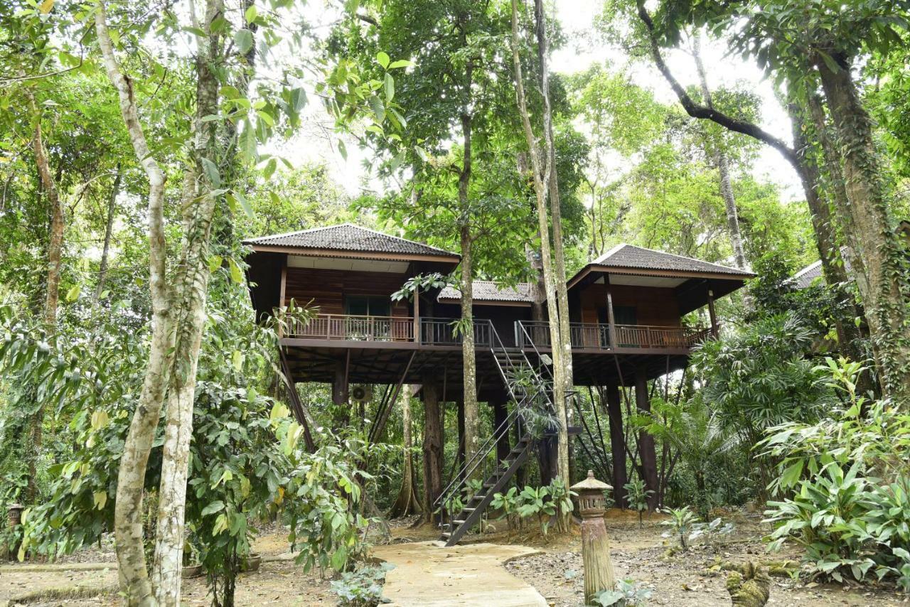 منتجع كاو سوك نيتشر Khao Sok National Park المظهر الخارجي الصورة